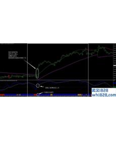 RSIOMA过滤外汇交易系统MT4下载