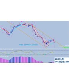 1H e 4H trader外汇交易系统下载