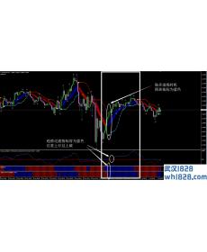 小泉纯一郎外汇交易系统下载