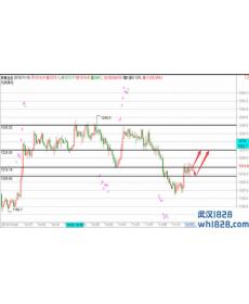 11.16黄金继续看反弹，原油谨防日内回落操作建议！