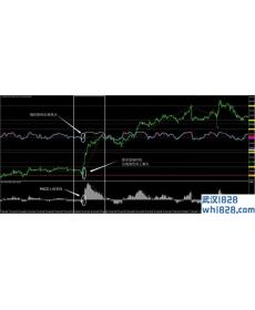 Tiong7外汇交易系统下载