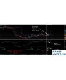 海外系统再引进,做趋势MT4指标下载