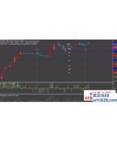 中枢神经外汇交易系统V2.2下载
