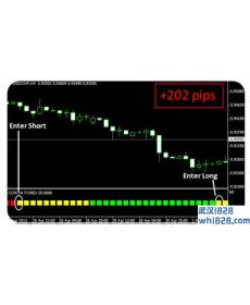 Coron Forex完美科隆指标免费下载