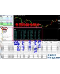 推荐:各品种持仓明细统计MT4指标!