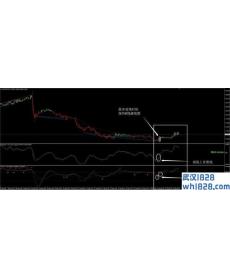 Fx Divergence外汇交易系统下载