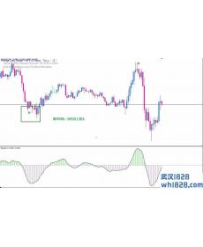 RSI Signal外汇交易系统下载