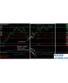 CATFX50外汇交易系统下载