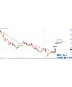 洞穴外汇交易系统下载