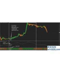 Ratis修改版外汇交易系统下载