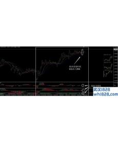 比尔威廉斯外汇交易系统III下载