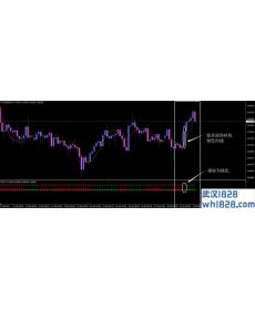 白老虎外汇交易系统下载