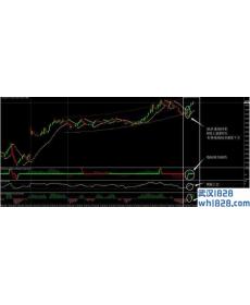 FX11外汇交易系统下载
