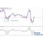 RSI Signal外汇交易系统下载