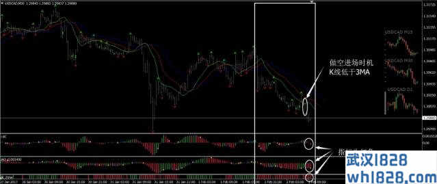 比尔威廉斯外汇交易系统下载