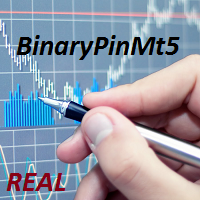 MT5-BinaryPinMt5