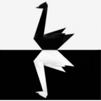 MT5-HV Models
