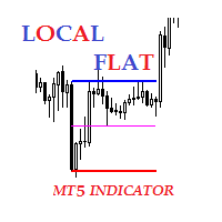 MT5-Local Flat MT5
