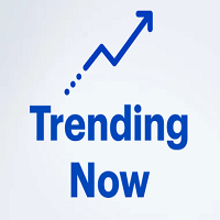 MT4-Trend Support and Resistant levels